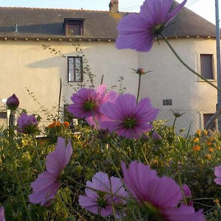 Manoir De La Guignardiere - Charme Et Douceur Chavagne Ngoại thất bức ảnh